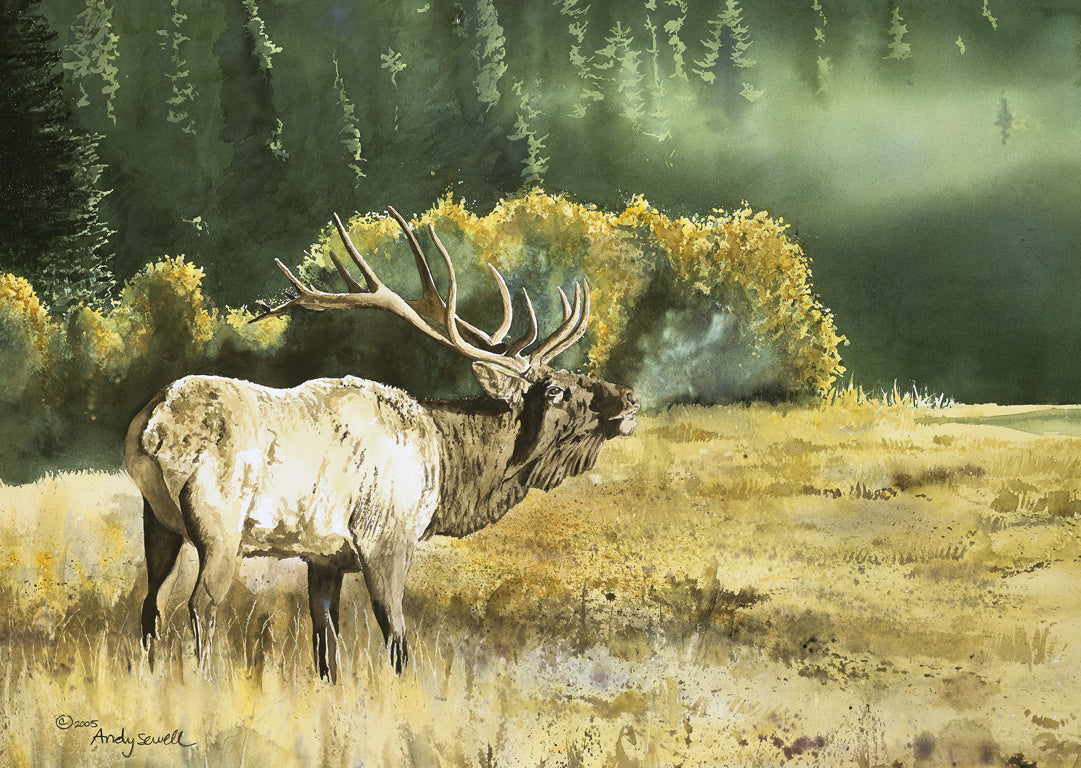 Wildlife and Big Game