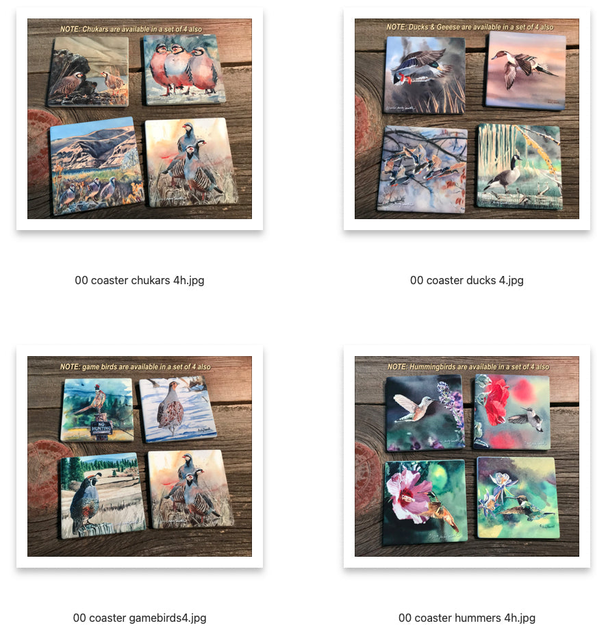 Coasters: Birds