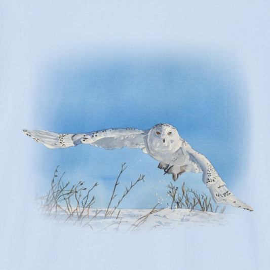 "Soaring Owl" Unisex Softstyle T-Shirt