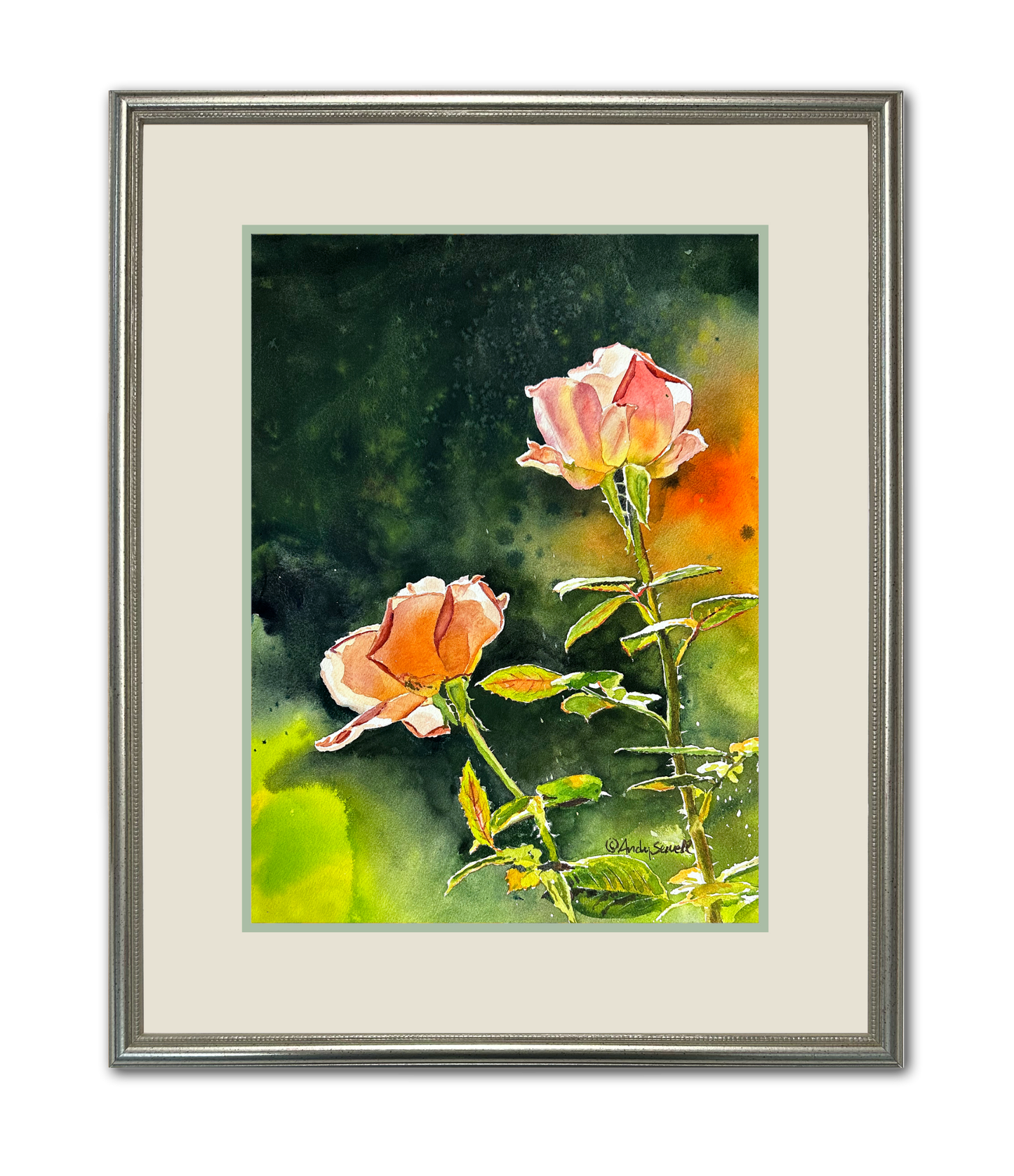 "Rose Duet" - 12x16 Original watercolor or signed edition giclee art print of 2 garden roses.