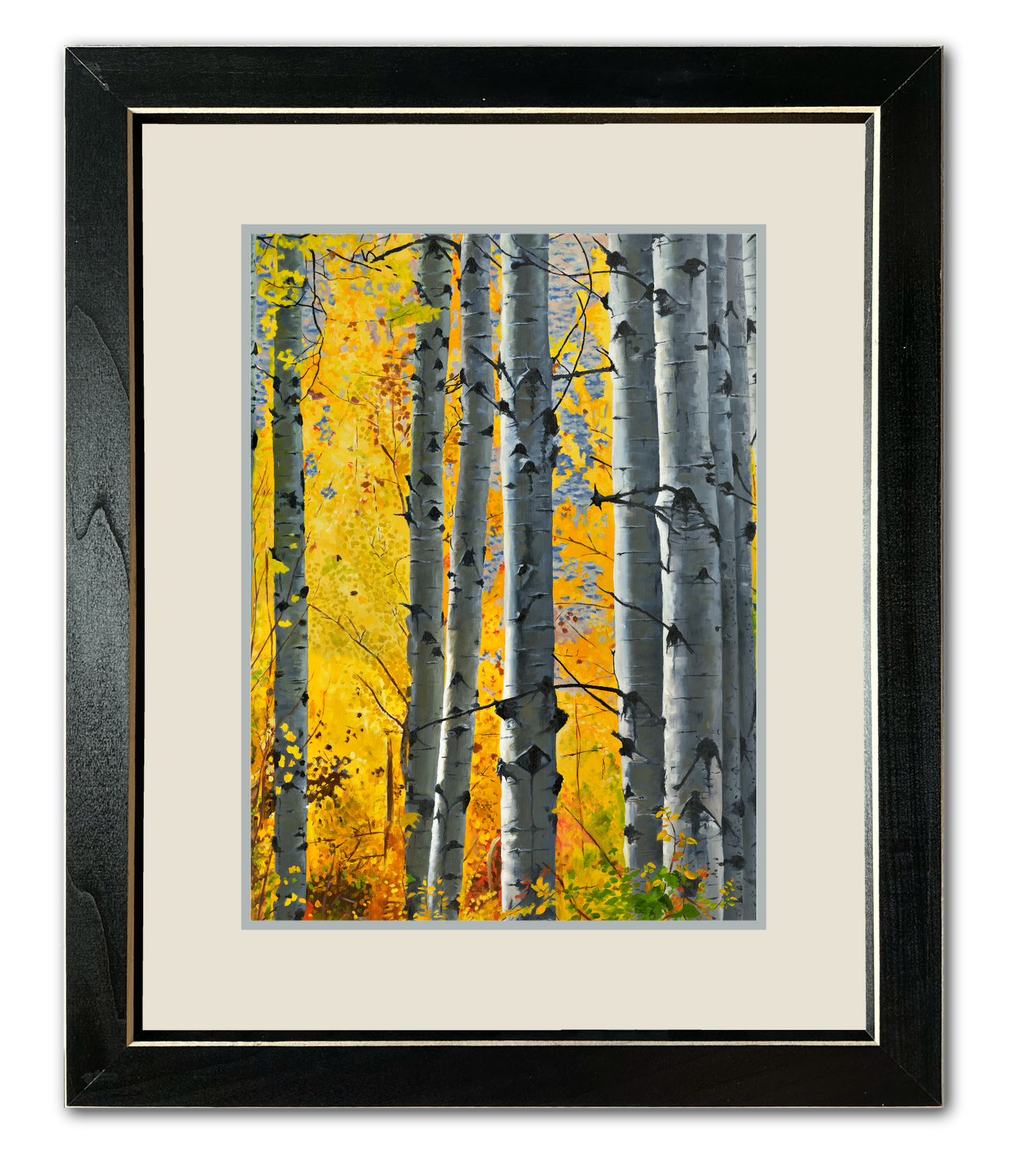 "October Gold" - Canvas Giclée art print of oil painting of Yellow Aspen trees in the fall