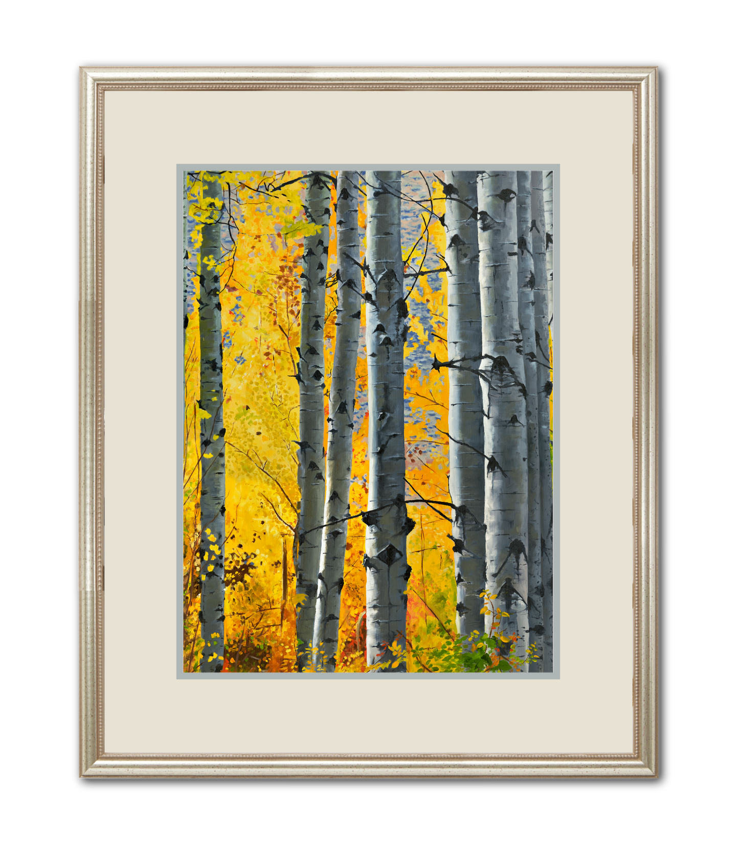 "October Gold" - Canvas Giclée art print of oil painting of Yellow Aspen trees in the fall