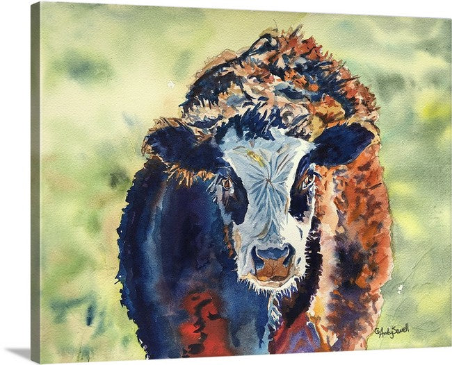 "His name is Dudley" 12x16 Original watercolor or signed edition Giclee Reprod. of my steer Dudley.