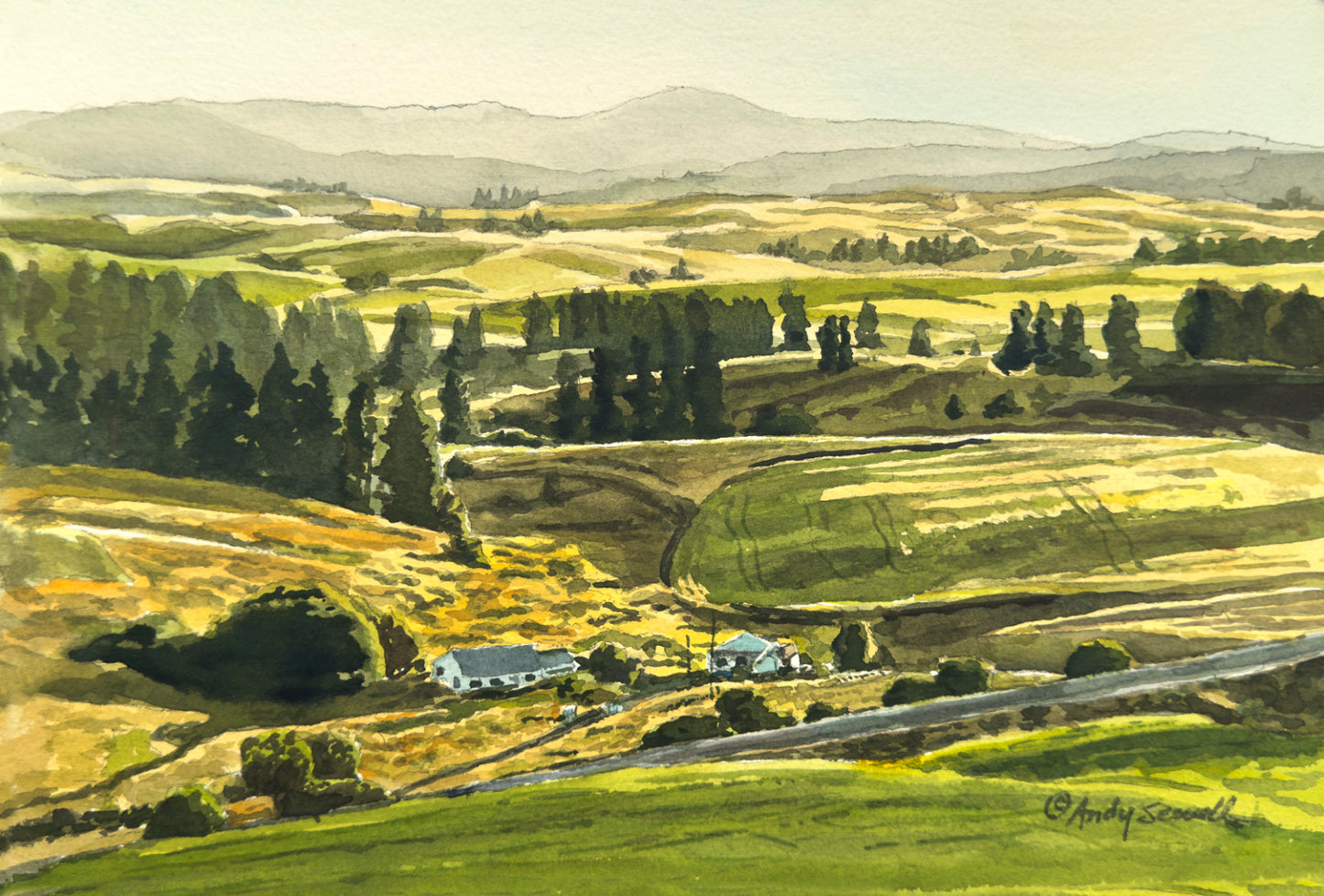 "Home on the Palouse" - 8"x12" Original watercolor, framed in 11x14