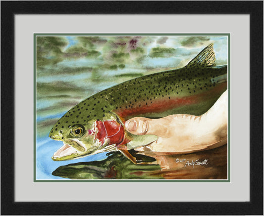 "Rainbow Release" Rainbow Trout Art Print - a ltd. ed. s/n Giclee rainbow trout art print from a watercolor - by Andy Sewell