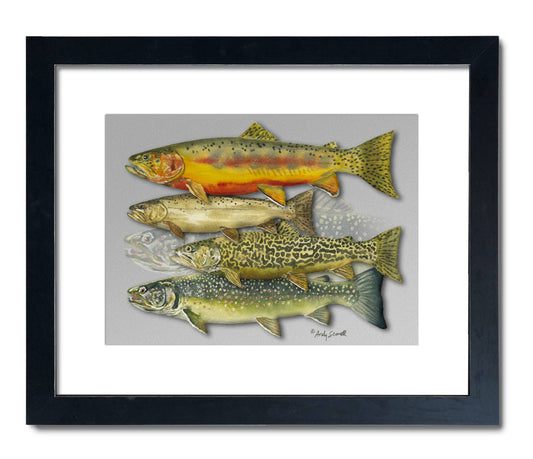 "School Colors 2, The other trout" - 11x15  signed edition paper/canvas Giclée art print.