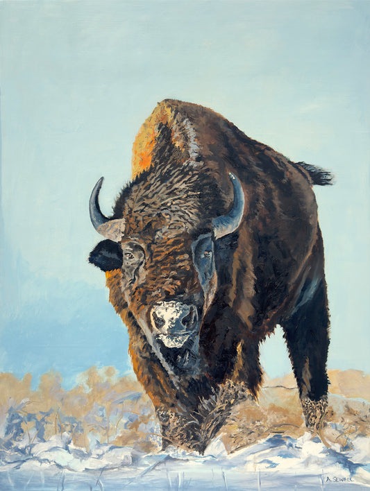 "Thunder in the Snow" - 36x48 Oil on Panel ~ American Bison in the winter snow.