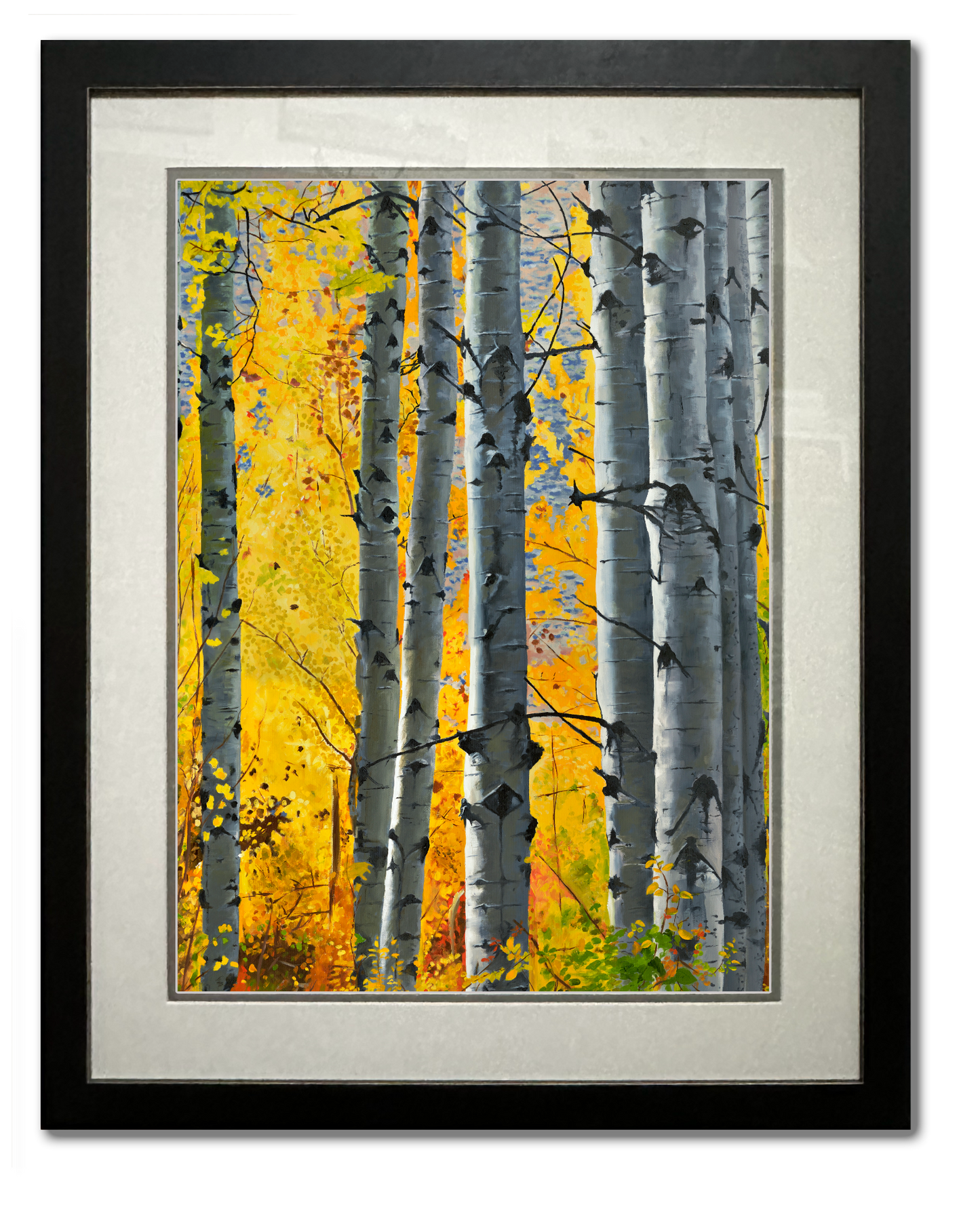 "October Gold" - Canvas Giclée art print of oil painting of Yellow Aspen trees in the fall
