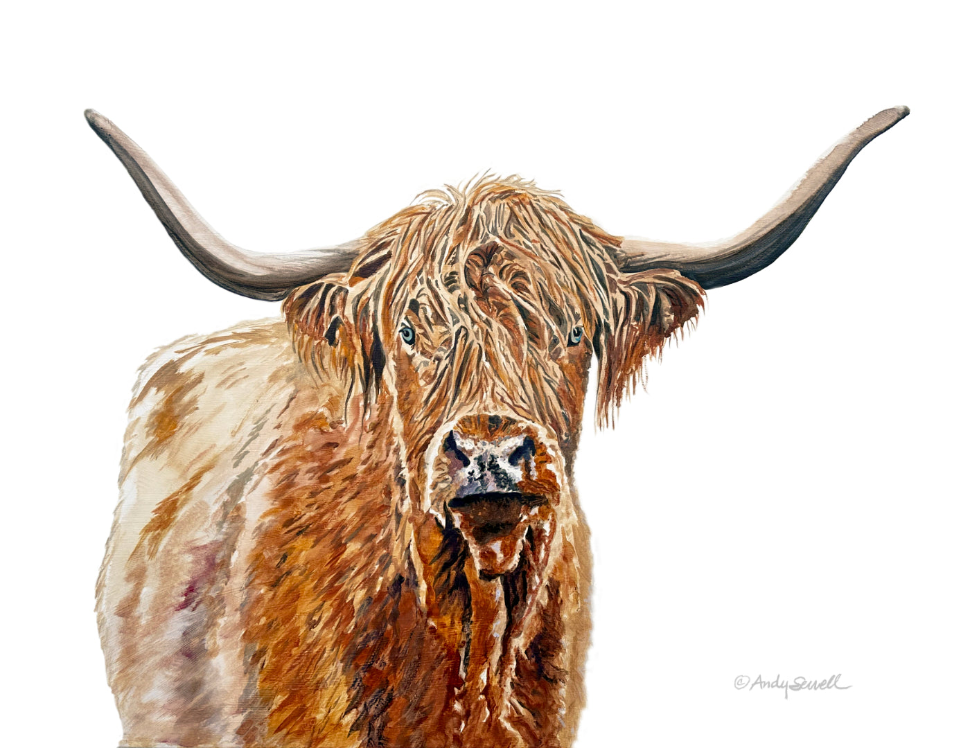 “Blondie the Highlander” - Original or Fine art Giclée print, highlander wall art, cow wall art
