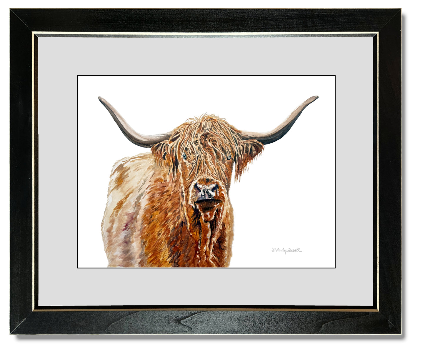 “Blondie the Highlander” - Original or Fine art Giclée print, highlander wall art, cow wall art