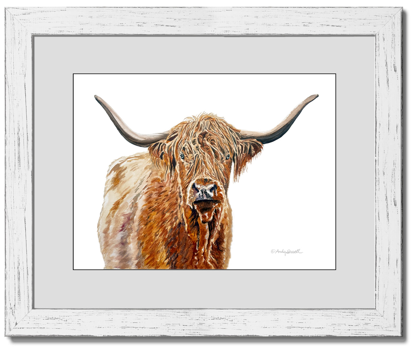 “Blondie the Highlander” - Original or Fine art Giclée print, highlander wall art, cow wall art