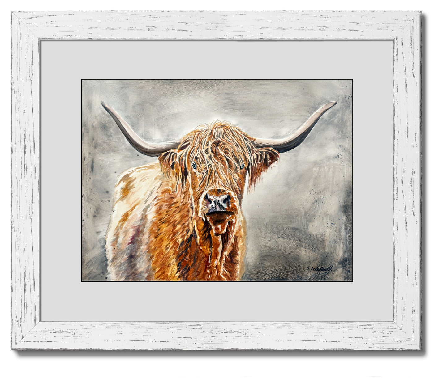 “Blondie the Highlander” - Original or Fine art Giclée print, highlander wall art, cow wall art