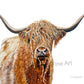 “Blondie the Highlander” - Original or Fine art Giclée print, highlander wall art, cow wall art