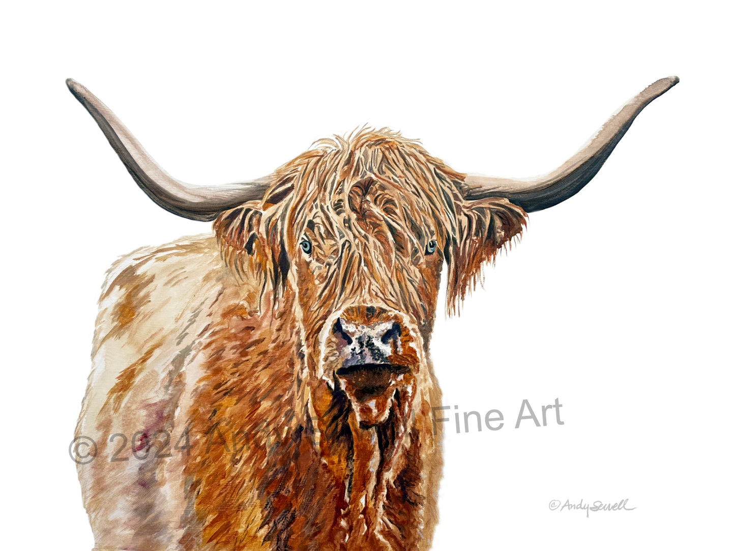 “Blondie the Highlander” - Original or Fine art Giclée print, highlander wall art, cow wall art