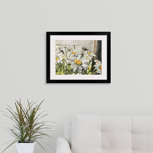 "Daisies by the Shed" - Daisy art print, Daisies Watercolor Print signed edition