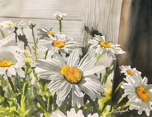 "Daisies by the Shed" - Daisy art print, Daisies Watercolor Print signed edition