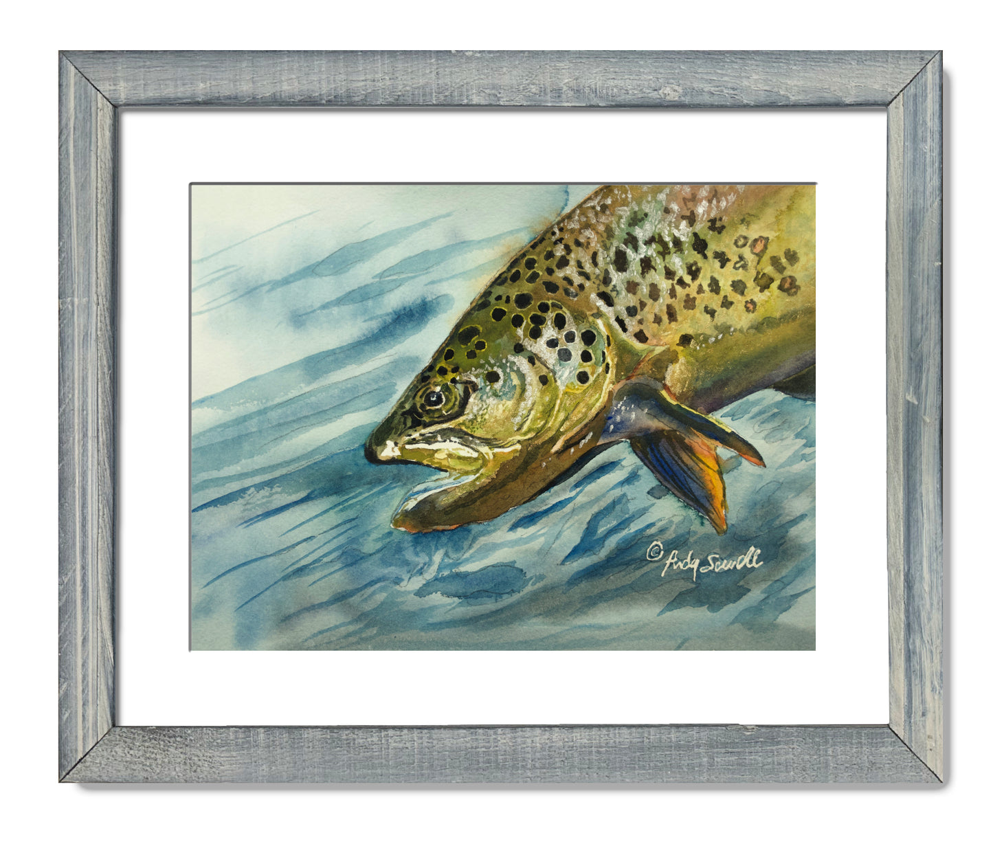 "Brown Trout Sparkle" - 8"x12" original watercolor