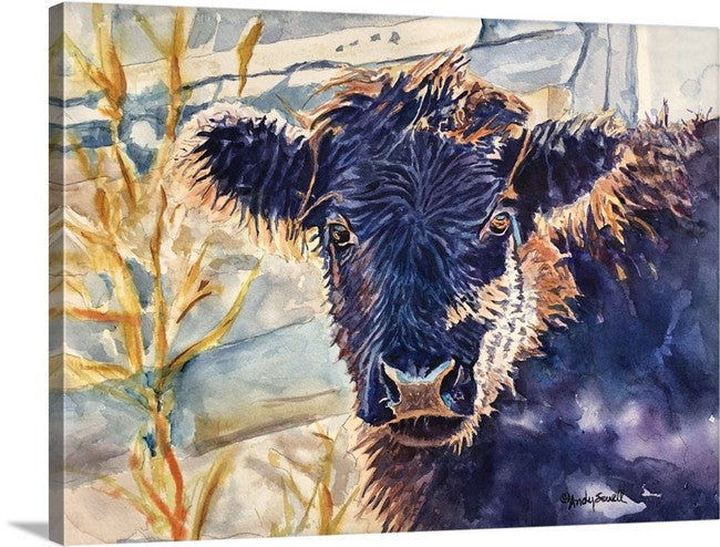 "Harry the Highlander" 12x16 Original watercolor or signed edition Giclee Reprod.