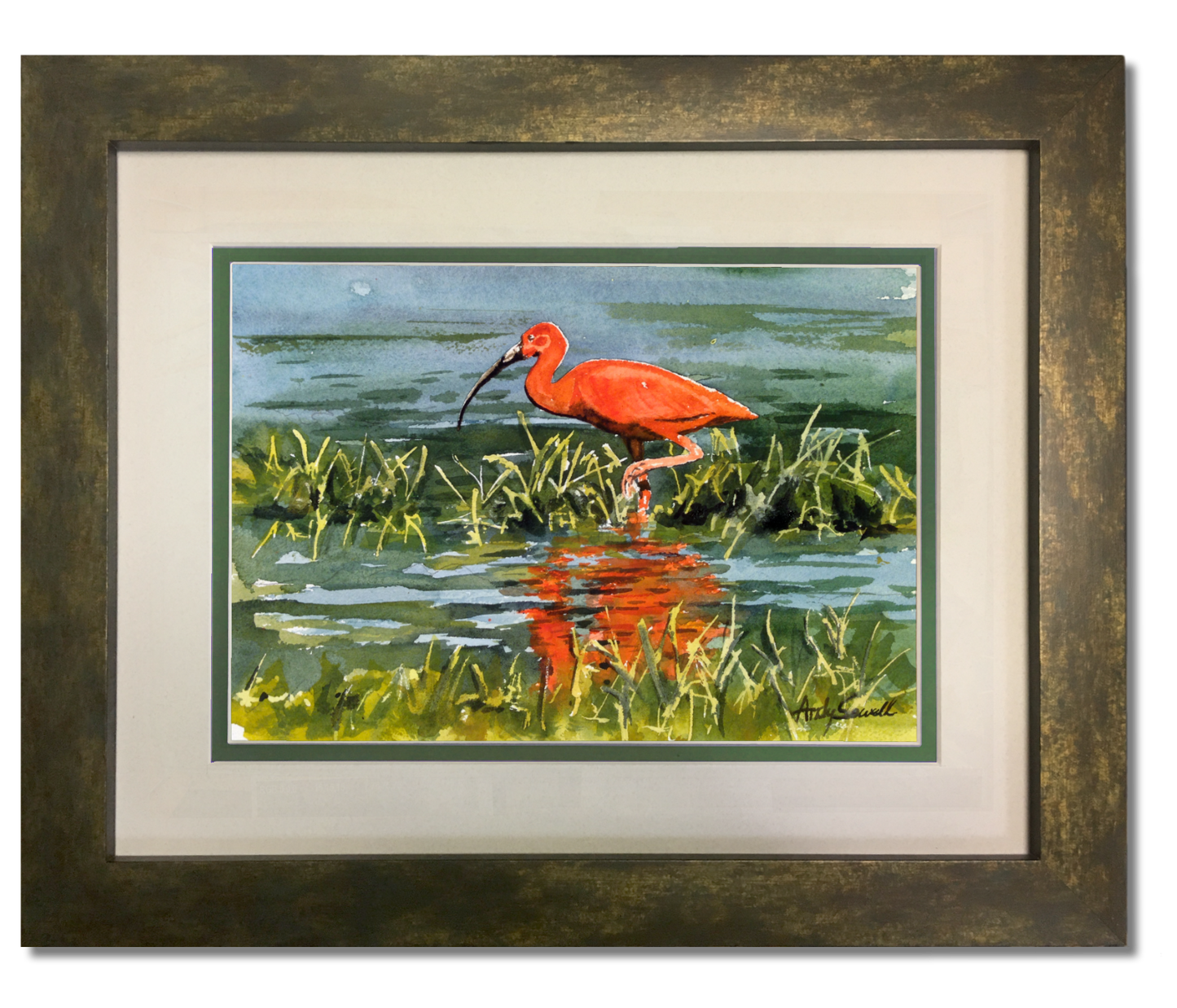 "I is for Ibis" Original 8x12 or framed 11x14 watercolor or giclee print