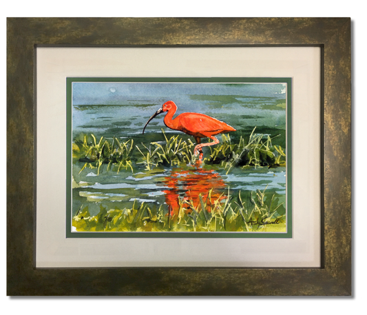 "I is for Ibis" Original 8x12 or framed 11x14 watercolor or giclee print
