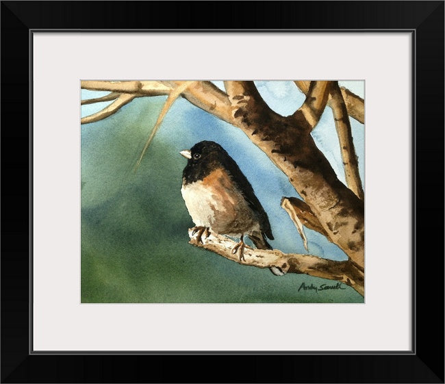 "J is for Junco" Original 8x12 or framed 11x14 watercolor or giclee print