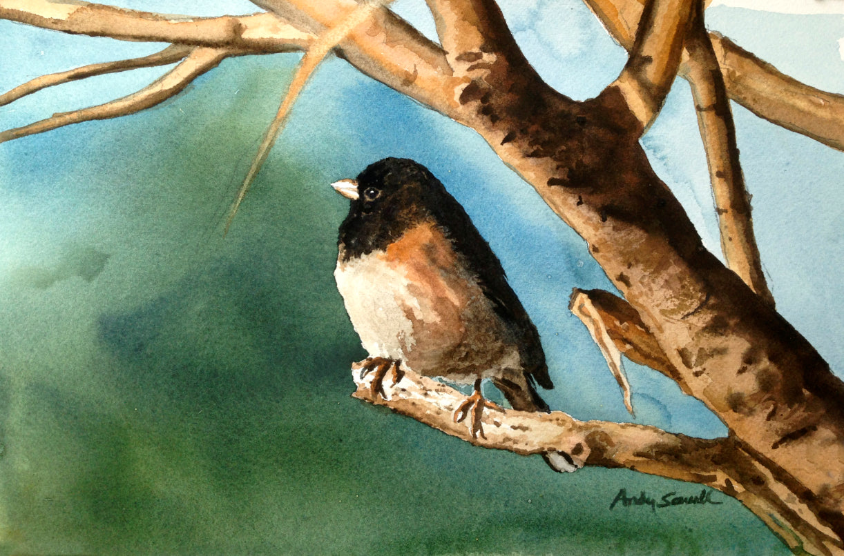 "J is for Junco" Original 8x12 or framed 11x14 watercolor or giclee print