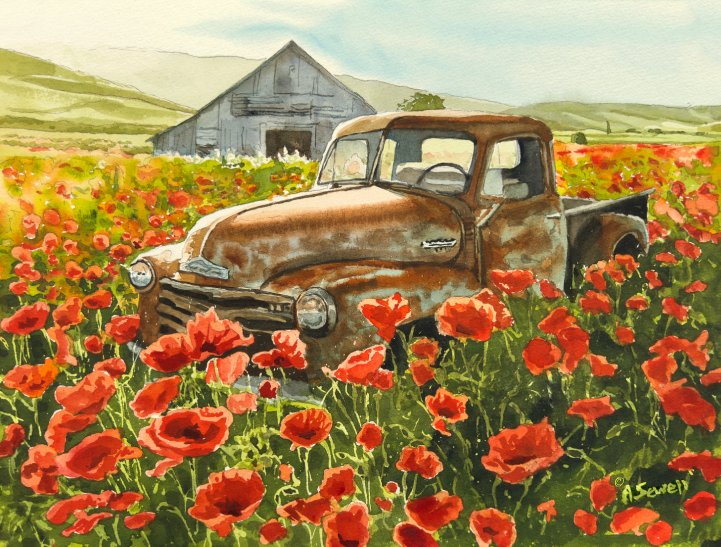 "Poppies & Patina, Chevy's last ride" 12x16 watercolor of 5-window Chevy in a field of poppies