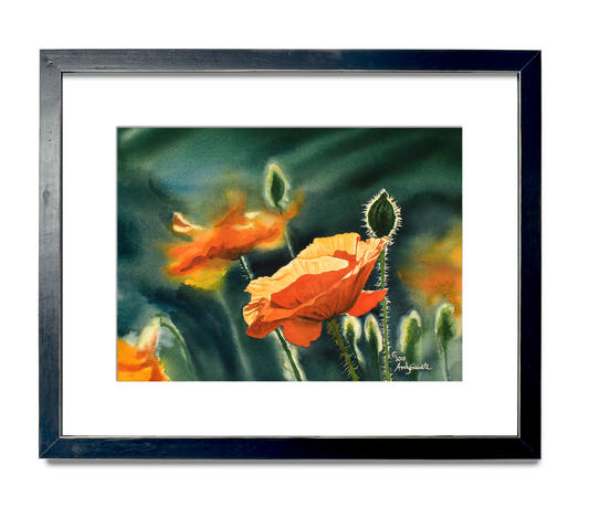 "Poppy Evening" Orange Poppy wall Art Print - A ltd. ed. s/n Giclee art print from a watercolor of poppies in the sun