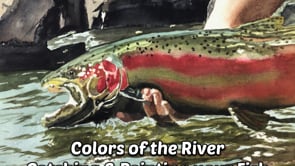 "Colors of the River" (Steelhead) - a ltd. edition s/n giclee art print from an original watercolor of the fabulous Steelhead (see video below)