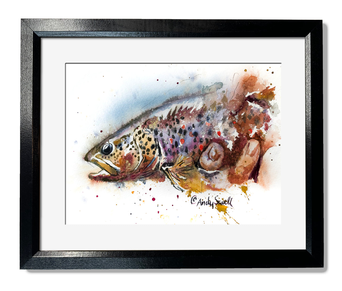 "Brown Splashes" - signed giclee art print, Brown Trout wall art