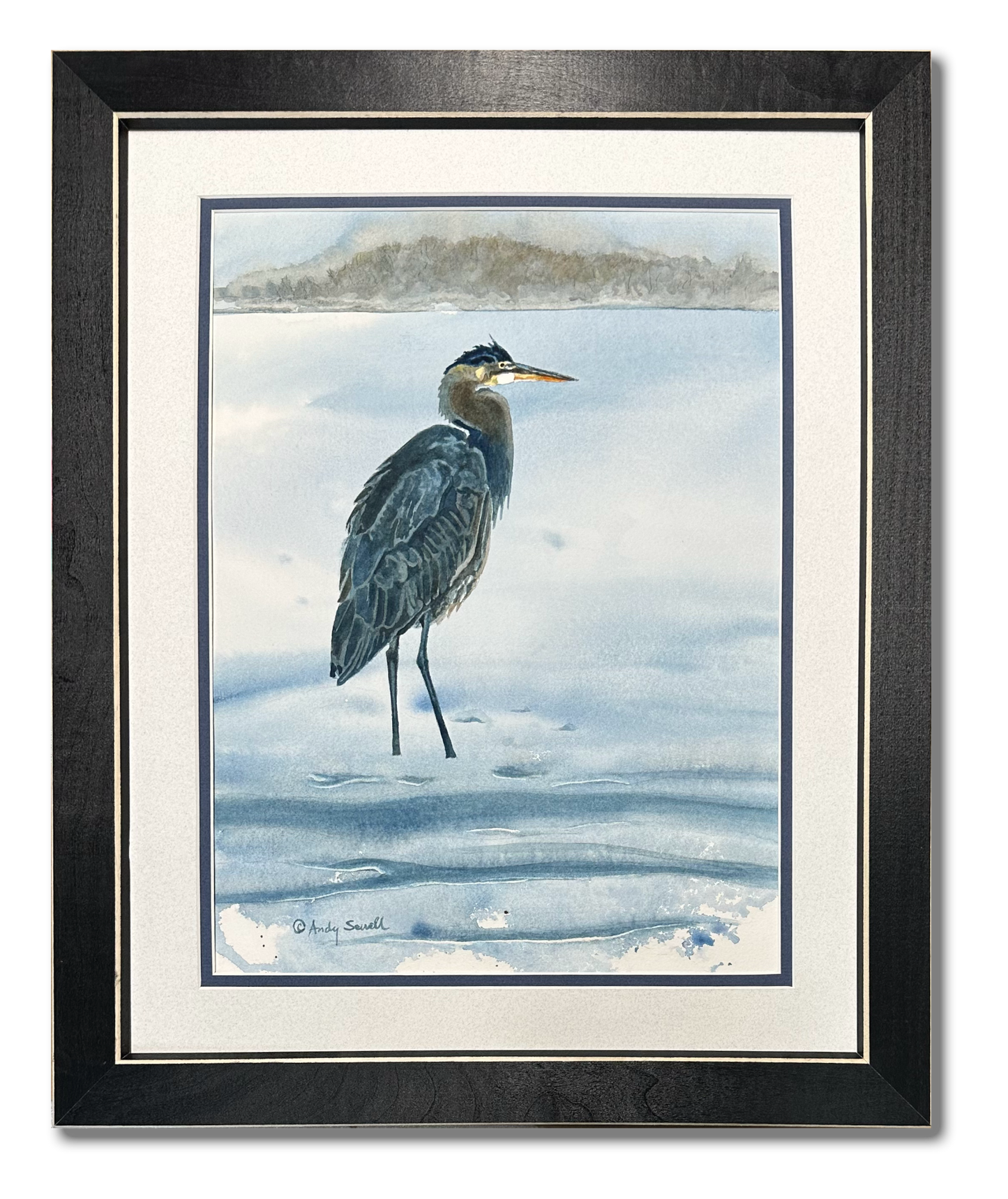 "Spike the Heron" - 14"x17" Original Watercolor or Giclée art print