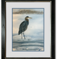 "Spike the Heron" - 14"x17" Original Watercolor or Giclée art print