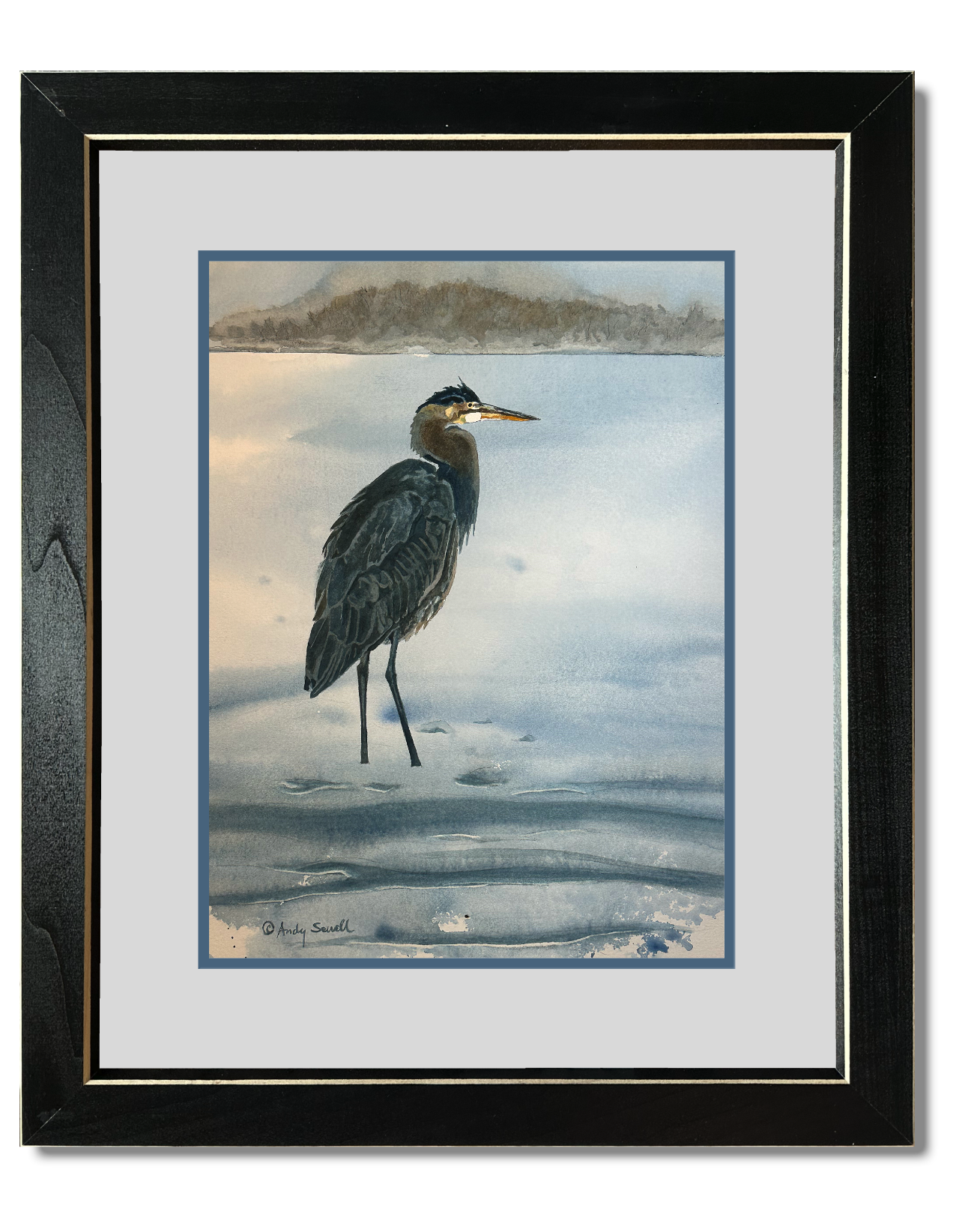 "Spike the Heron" - 14"x17" Original Watercolor or Giclée art print