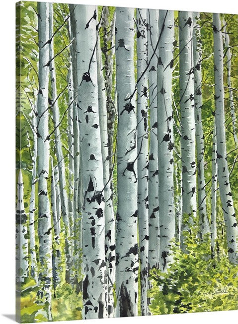 "Spring Aspens", - 18"x24" Original watercolor or Open ed. Giclée of Idaho's Aspen Trees in the Summer