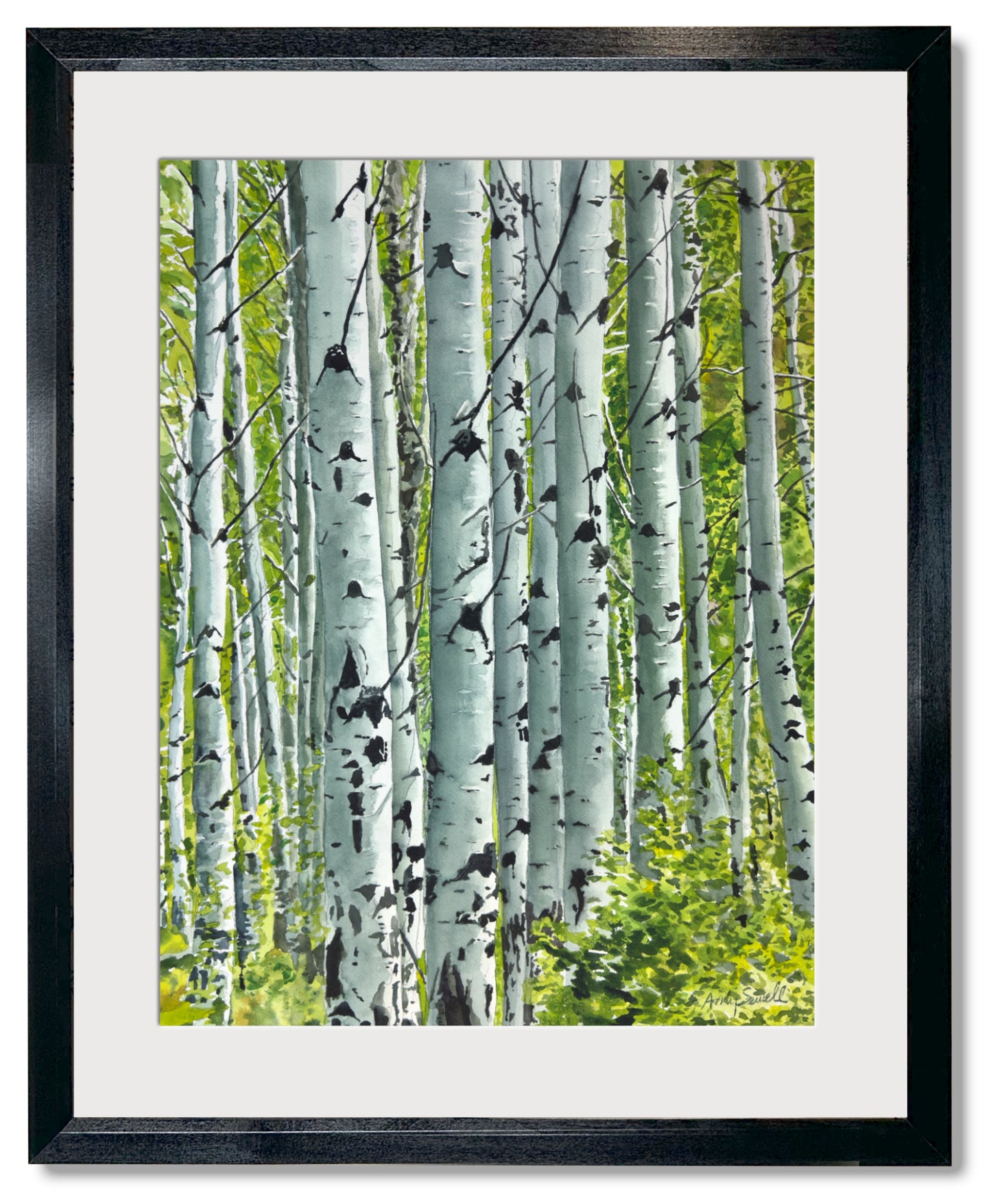"Spring Aspens", - 18"x24" Original watercolor or Open ed. Giclée of Idaho's Aspen Trees in the Summer