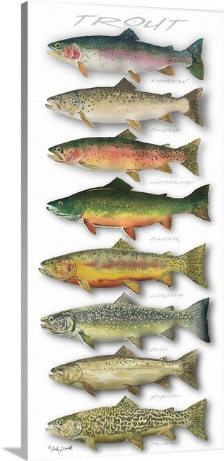 "Trout Array" - 11x23 Open edition paper/canvas Giclée art print.