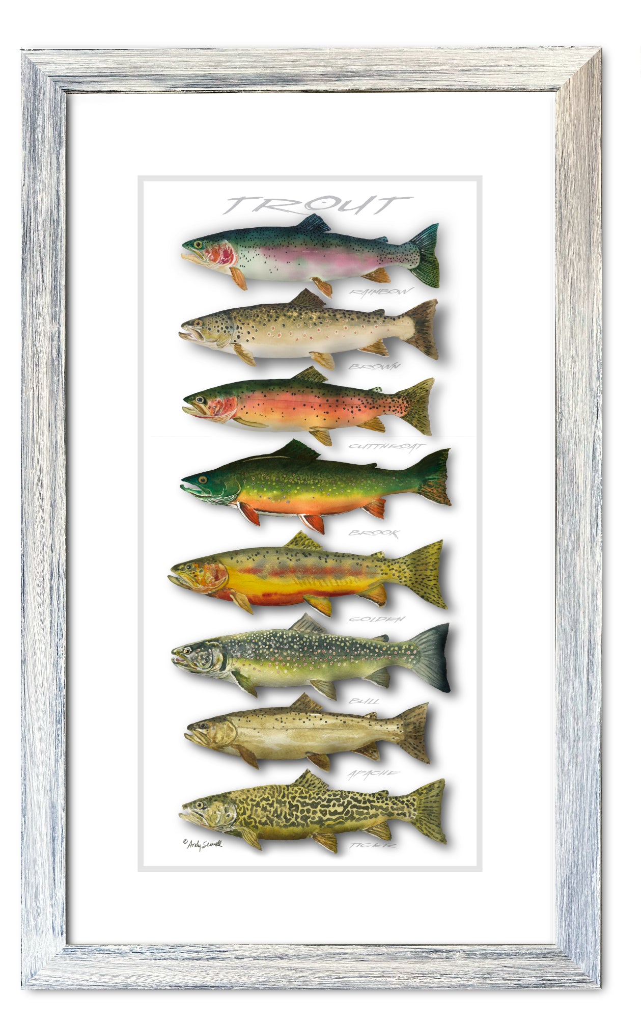 "Trout Array" - 11x23 Open edition paper/canvas Giclée art print.