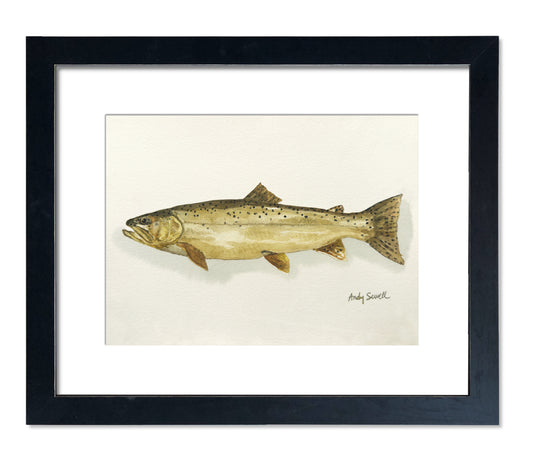 "Apache Trout" - 11x15 Original Watercolor or signed edition paper/canvas Giclée art print.