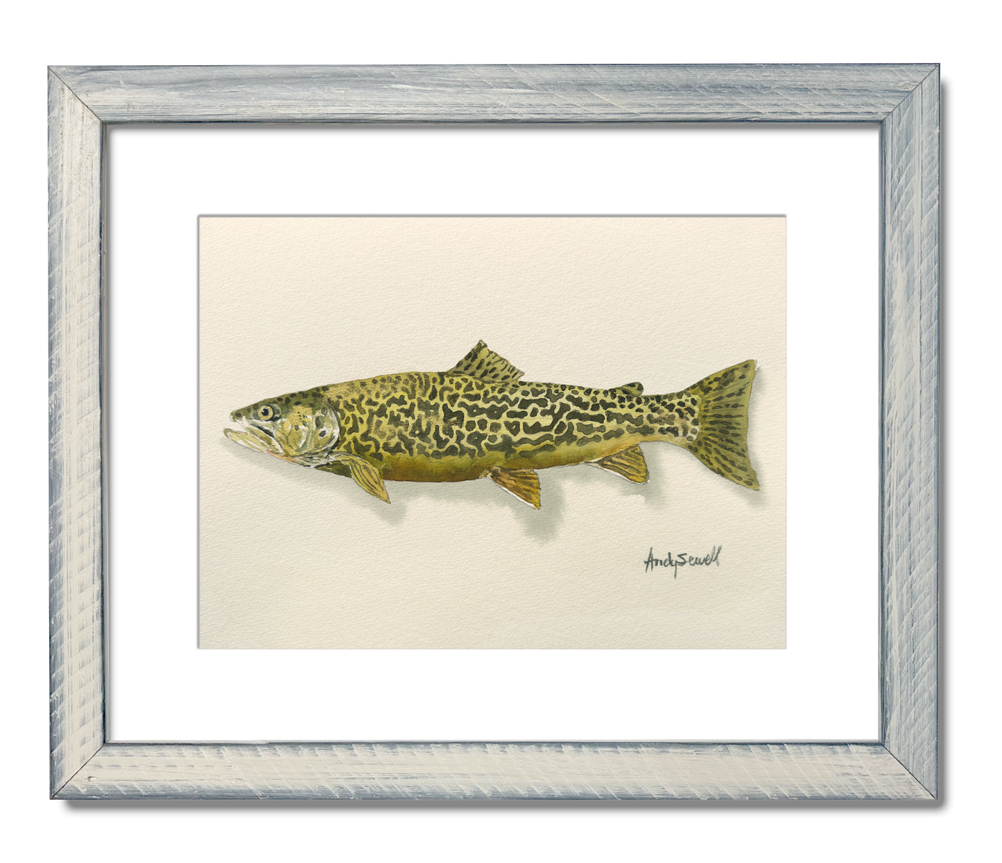 "Tiger Trout" - 11x15 Original Watercolor or signed edition paper/canvas Giclée art print.