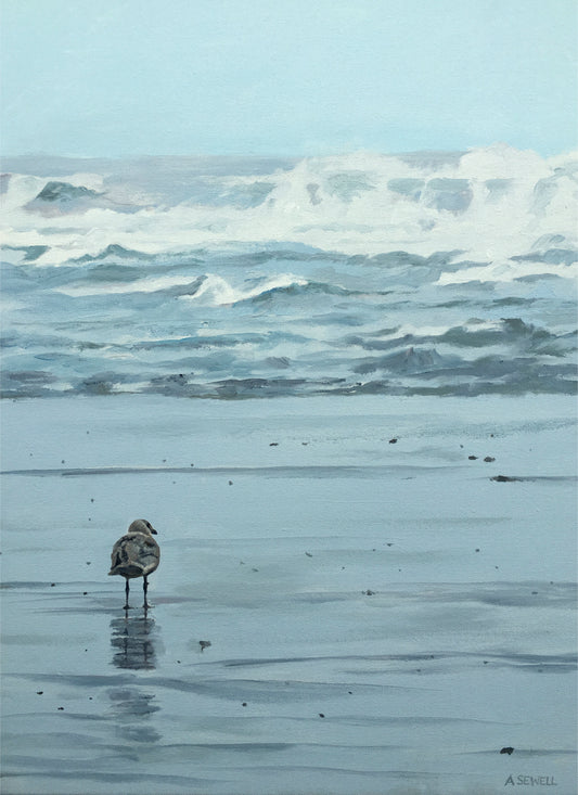 "Watching & Waiting ~ Seagull" - 16"x22" an original oil painting or signed edition Giclee reprod. of a lone seagull on the OR coast.