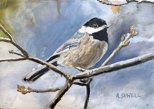 "Winter Chickadee"- A 5x7 oil painting
