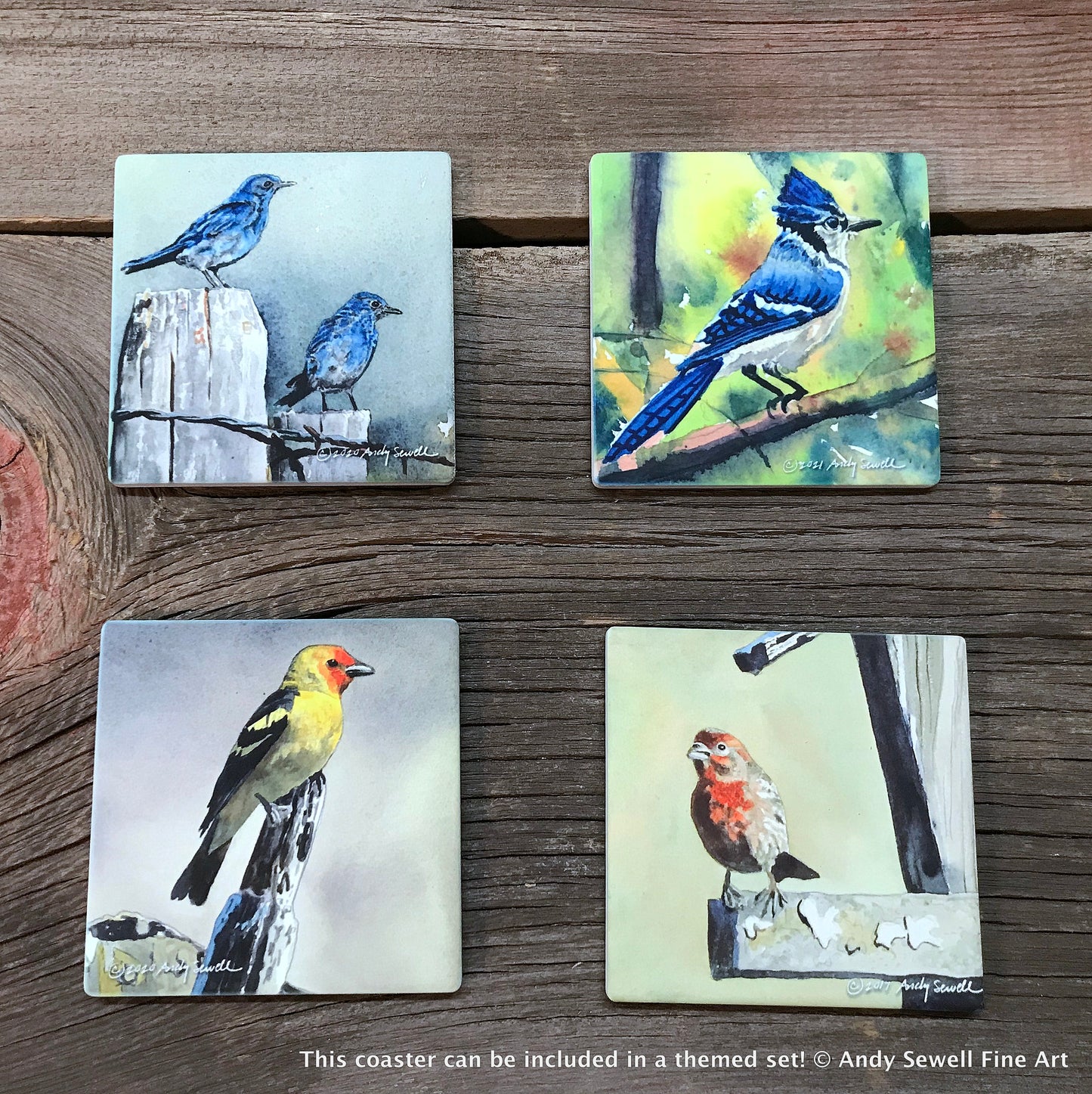 ASC307 "meadowlark" ceramic coaster