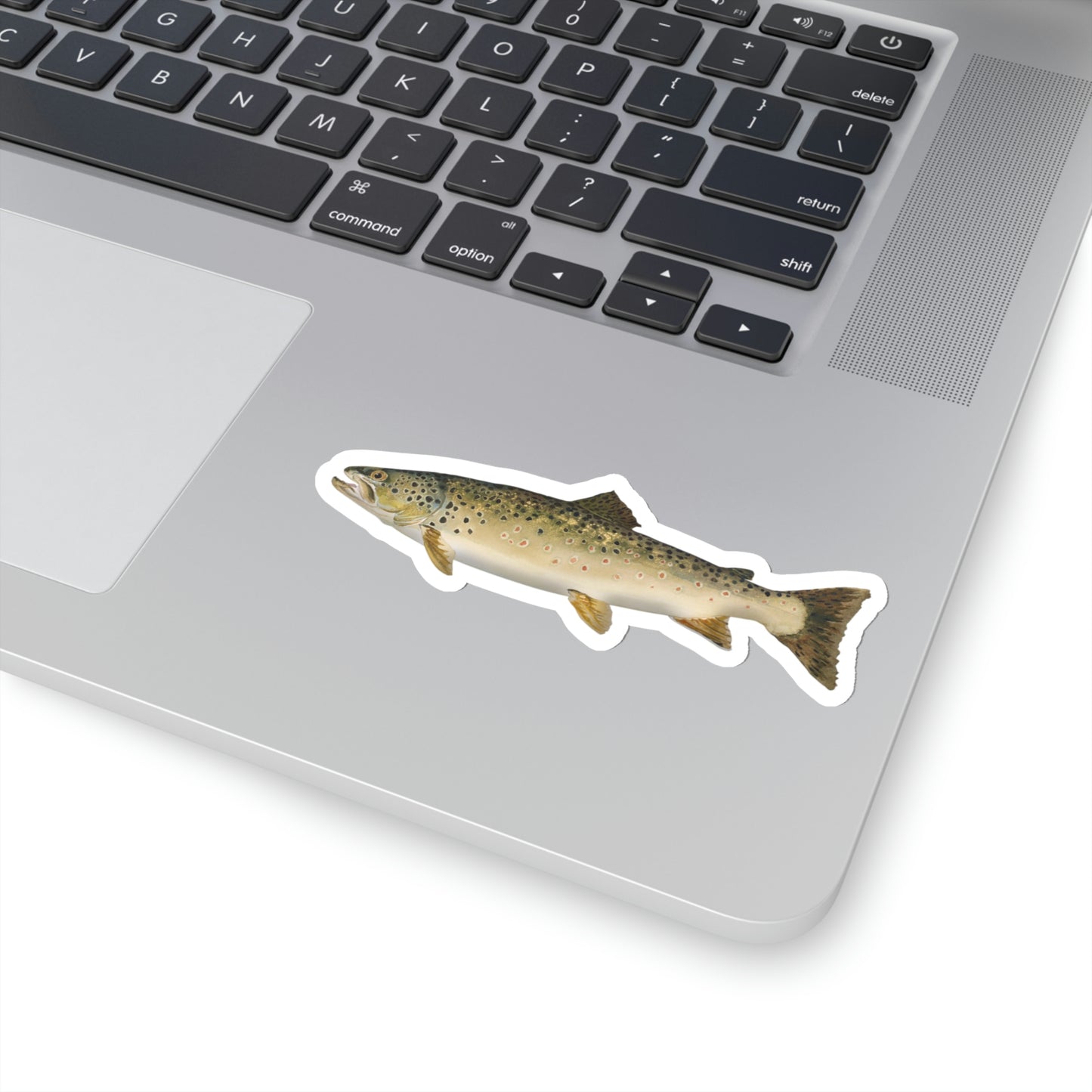 Copy of School Colors - Kiss-Cut Stickers