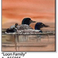 ASC055 "Loon Family" ceramic coaster
