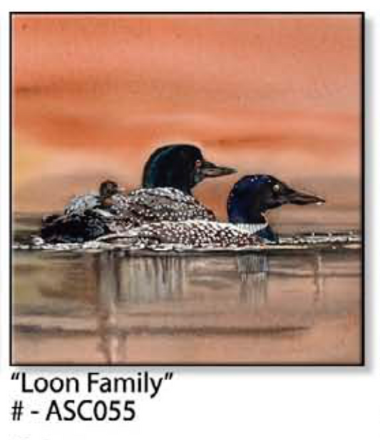 ASC055 "Loon Family" ceramic coaster