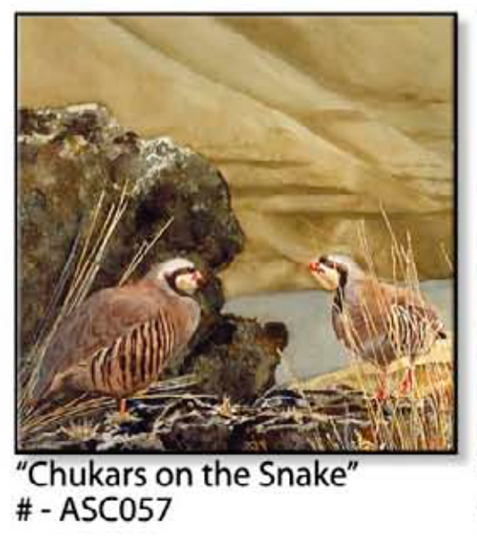 ASC057 "Chukars on the Snake" ceramic coaster