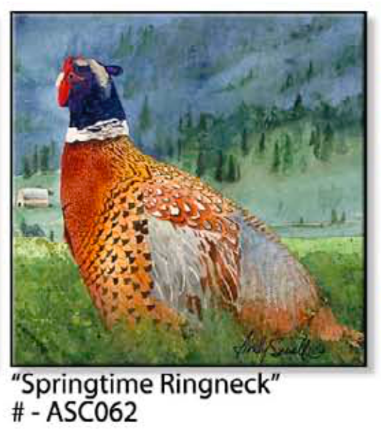 "Springtime Ringneck" - A ltd. edition s/n Giclee watercolor print of Ringneck Pheasant- by Andy Sewell