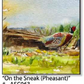 ASC063 "On the Sneak" pheasant ceramic coaster