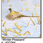 ASC064 "Winter Pheasant" ceramic coaster
