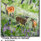ASC068 "Three Bucks in Velvet" ceramic coaster